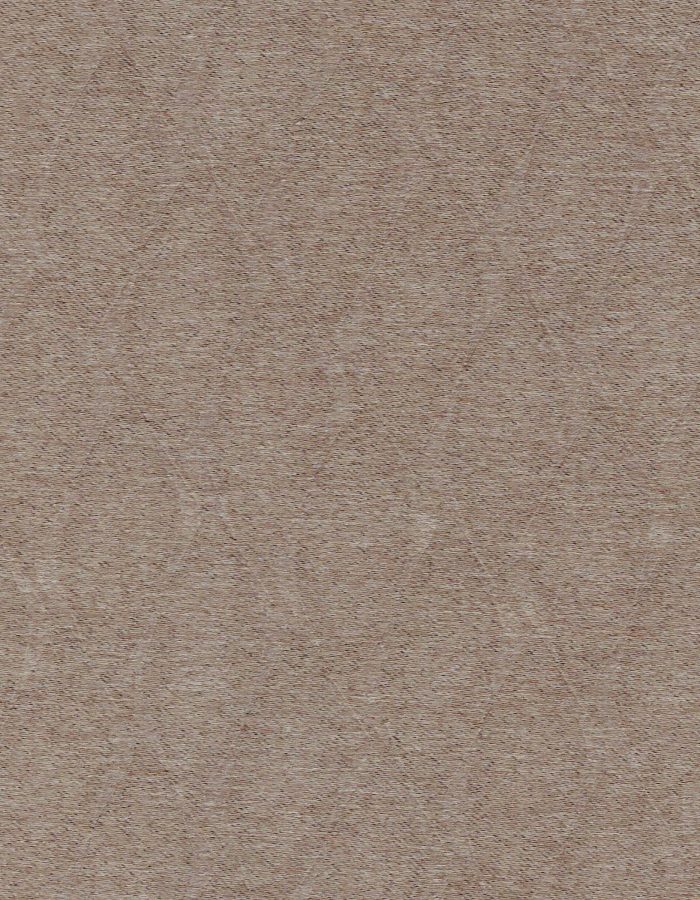 Chloe-15 Reed